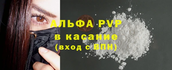 индика Балахна