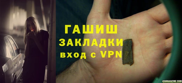 индика Балахна