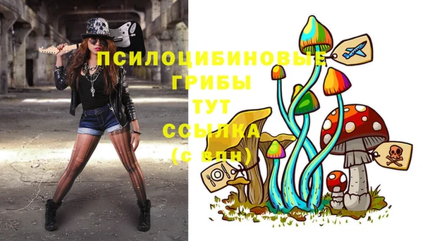тгк Баксан