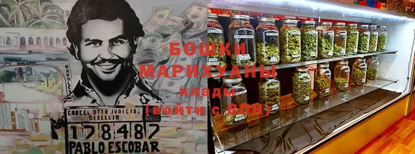 индика Балахна