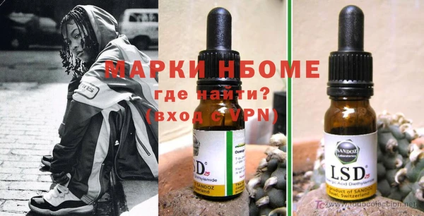 индика Балахна