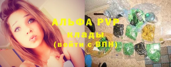 индика Балахна