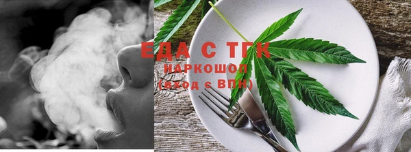 индика Балахна