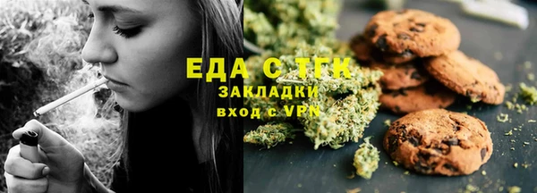 индика Балахна